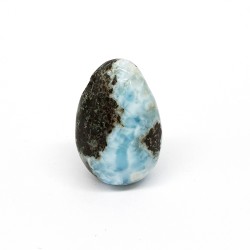 Larimar auguga